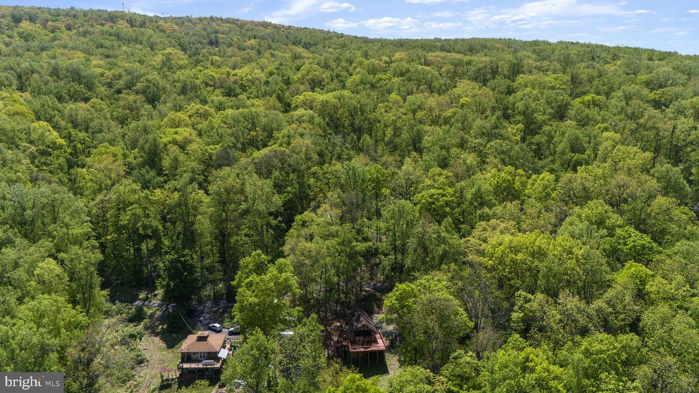 293 Old Sawmill Rd Property Photo 8