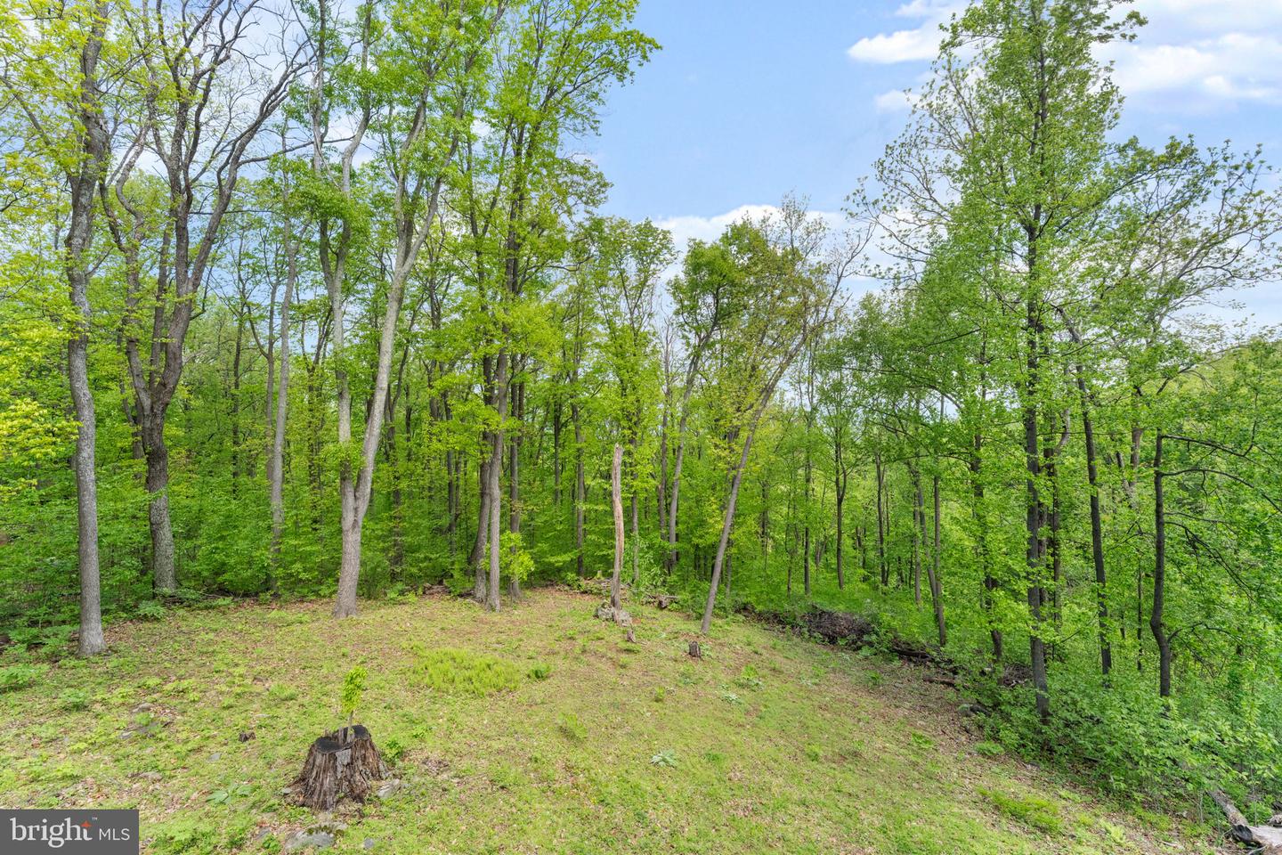 293 Old Sawmill Rd Property Photo 44