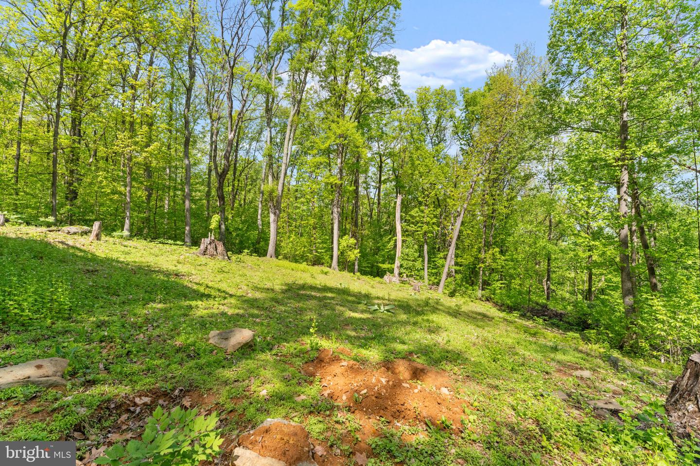 293 Old Sawmill Rd Property Photo 45