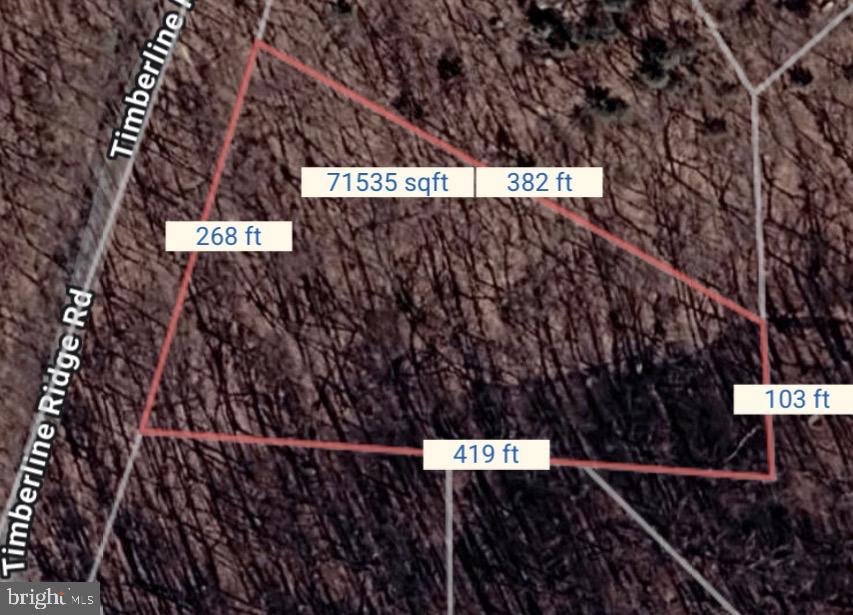 0 Timberline Ridge Rd Property Photo 2