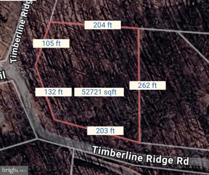 0 Timberline Ridge Rd Property Photo 3