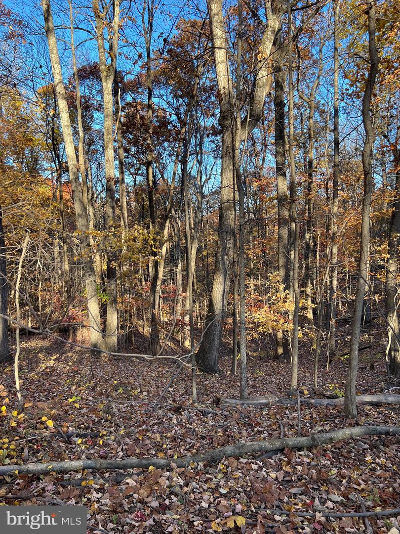 0 Timberline Ridge Rd Property Photo 6