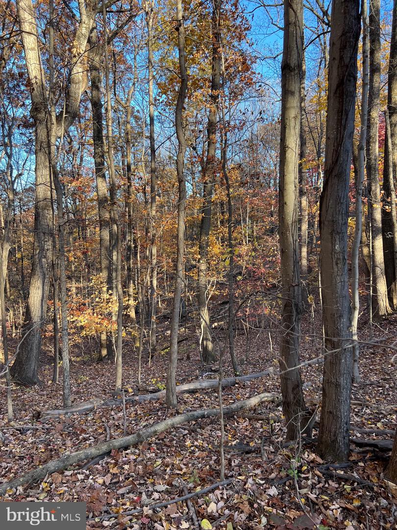 0 Timberline Ridge Rd Property Photo 7