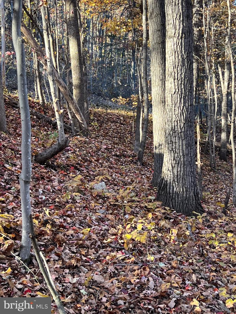 0 Timberline Ridge Rd Property Photo 10