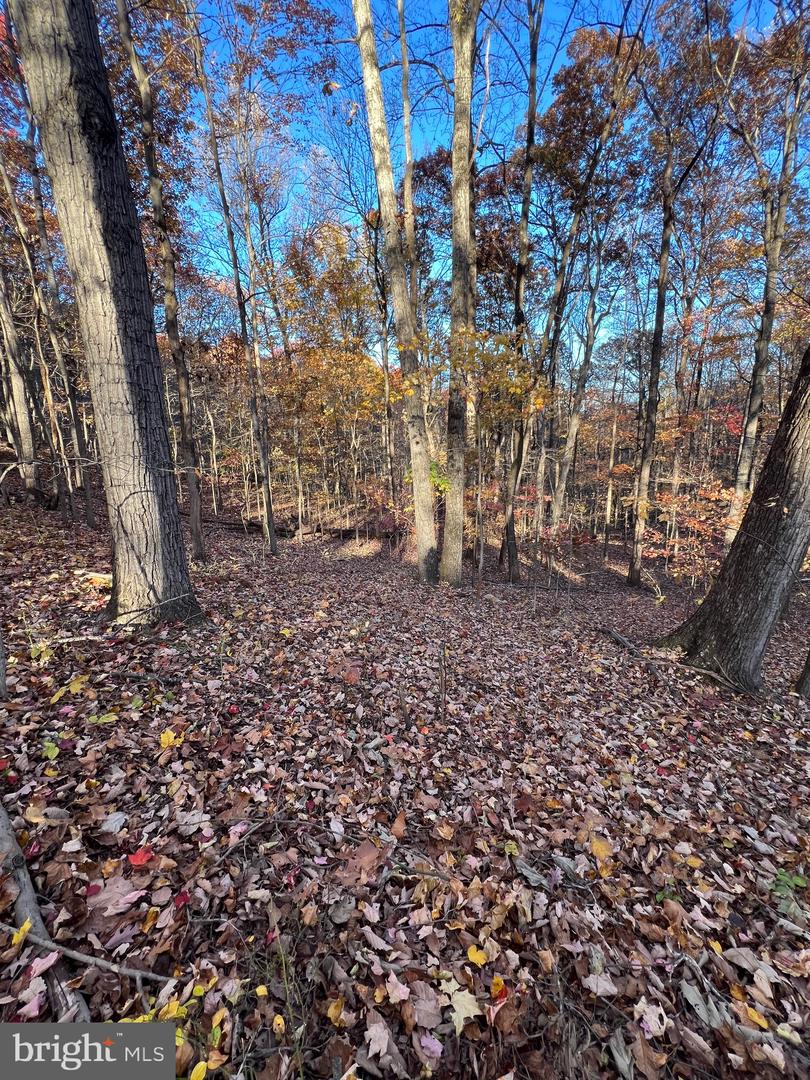 0 Timberline Ridge Rd Property Photo 11