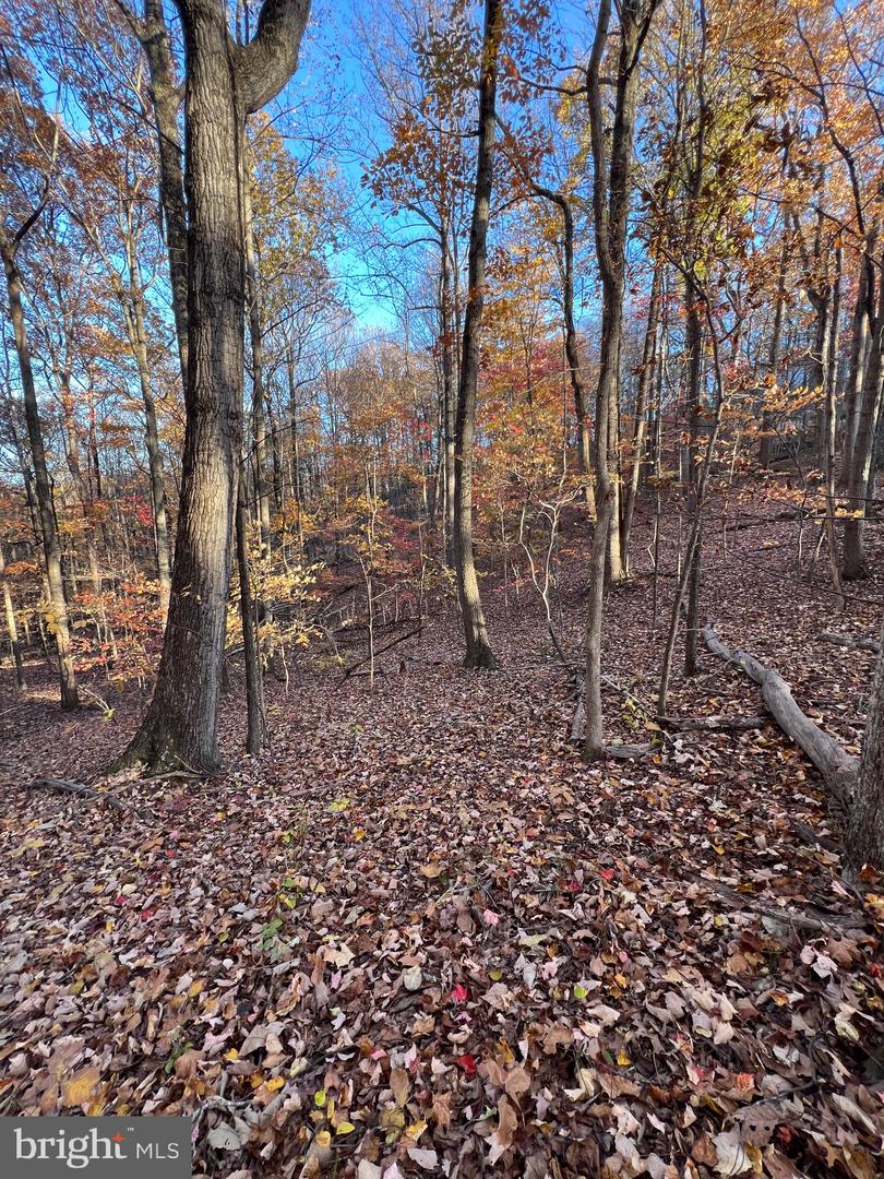 0 Timberline Ridge Rd Property Photo 12
