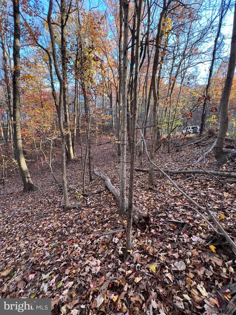 0 Timberline Ridge Rd Property Photo 13