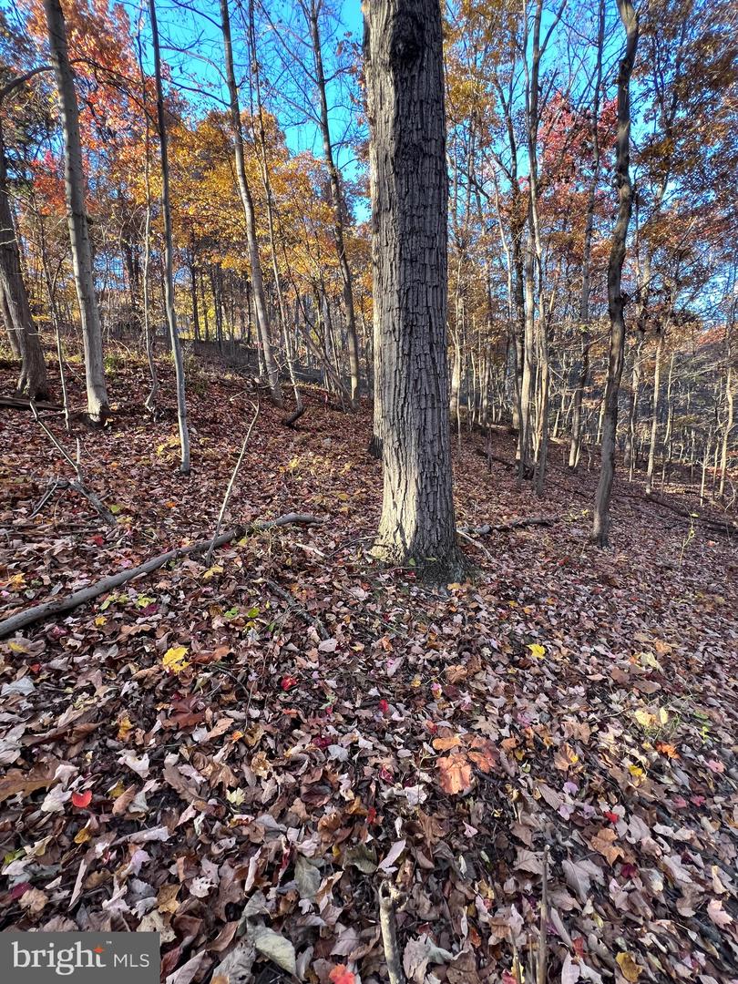 0 Timberline Ridge Rd Property Photo 14