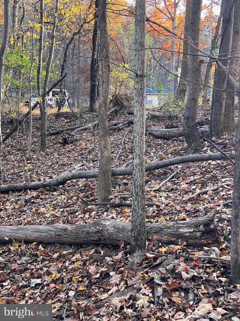 0 Timberline Ridge Rd Property Photo 15
