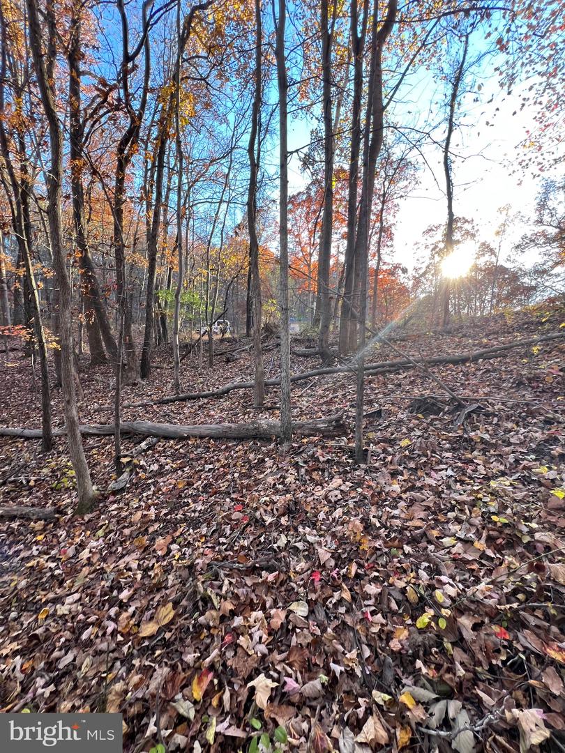 0 Timberline Ridge Rd Property Photo 17