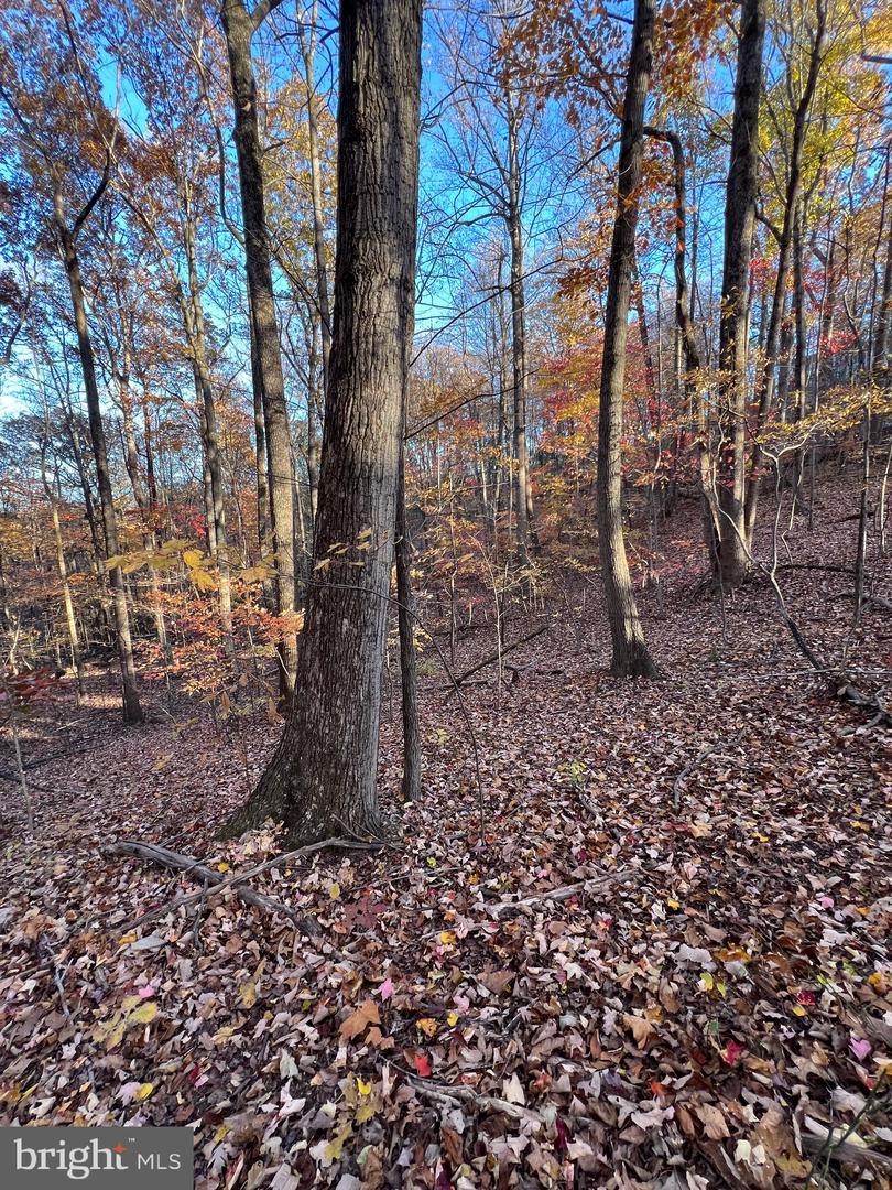 0 Timberline Ridge Rd Property Photo 18