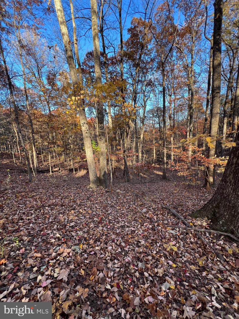 0 Timberline Ridge Rd Property Photo 19