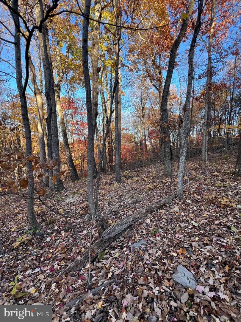 0 Timberline Ridge Rd Property Photo 22