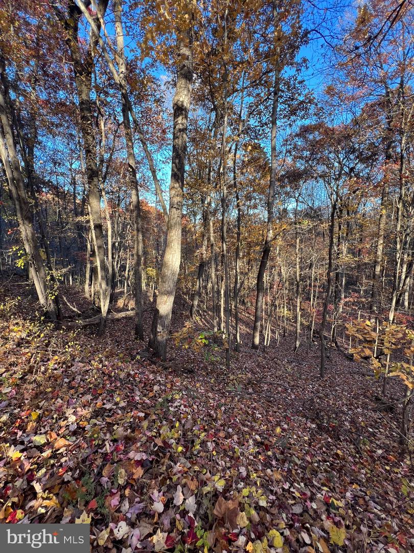 0 Timberline Ridge Rd Property Photo 24