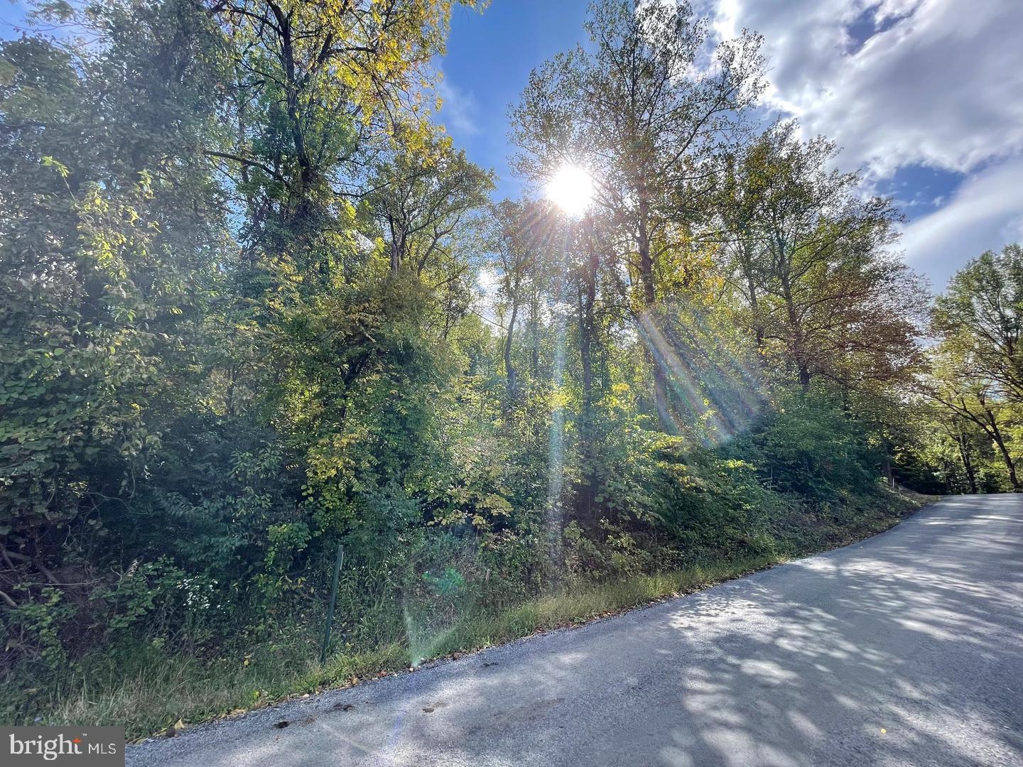 VENUS BRANCH #LOT 145 Property Photo 1