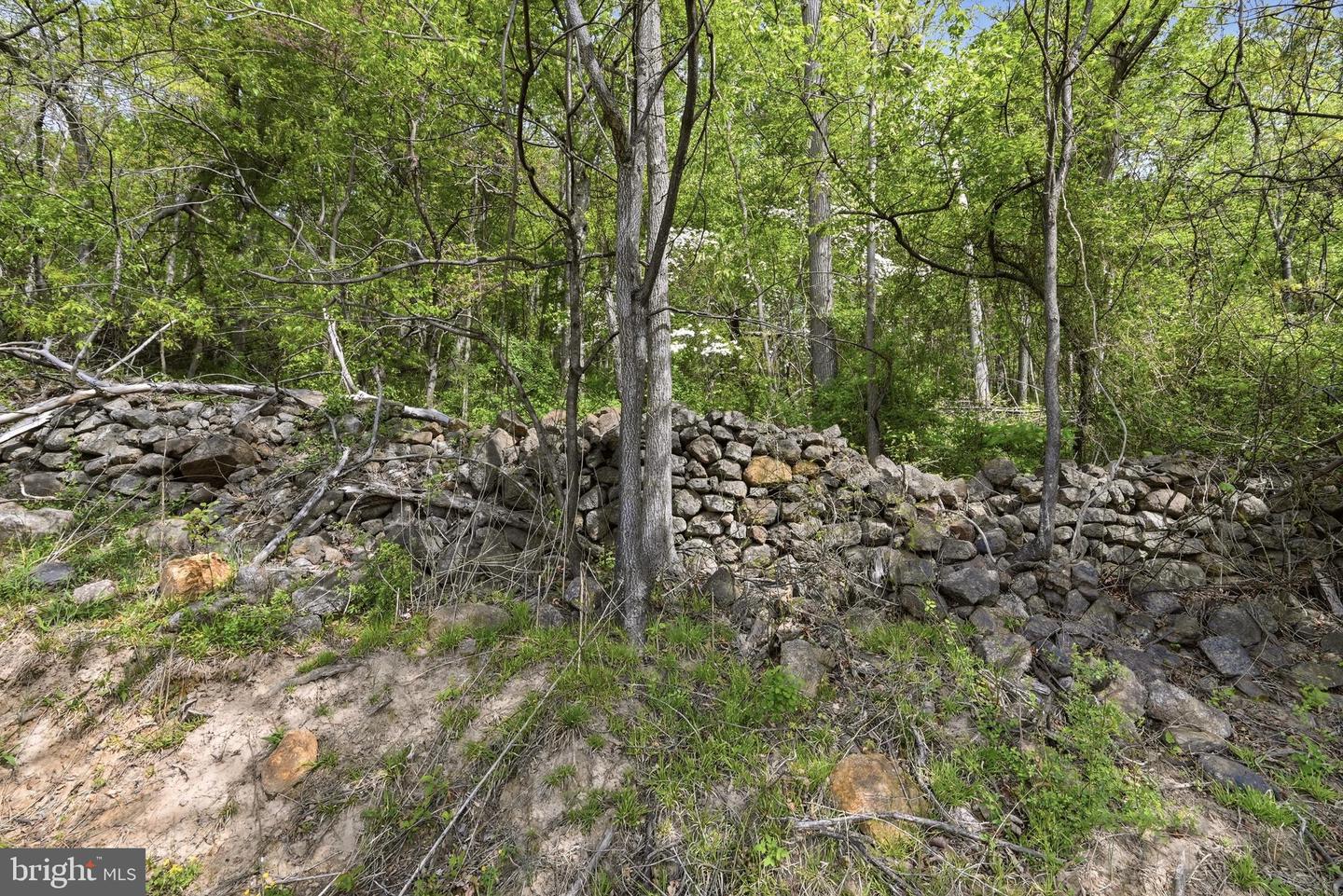 0 Bentonville Rd Property Photo 6