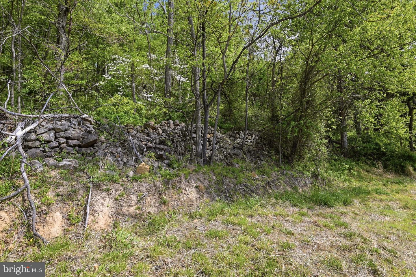 0 Bentonville Rd Property Photo 7
