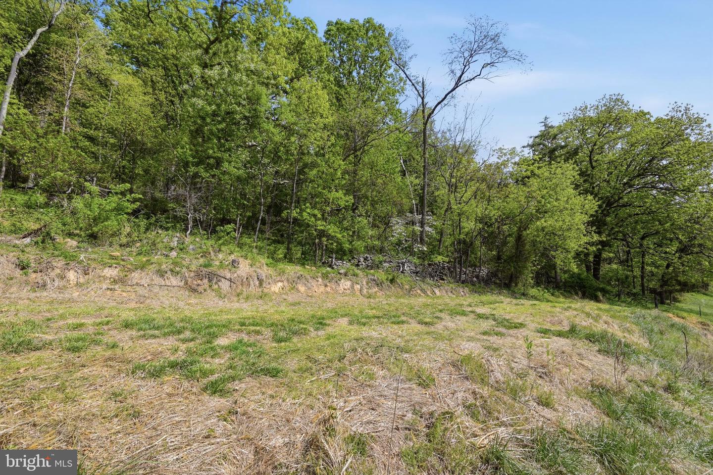 0 Bentonville Rd Property Photo 13
