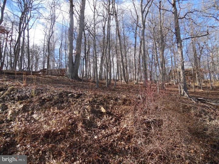 Lot 77 Gussin Way Property Photo 10