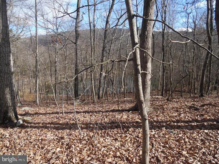 Lot 77 Gussin Way Property Photo 13