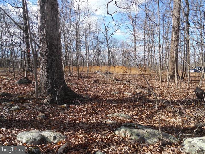 Lot 77 Gussin Way Property Photo 14