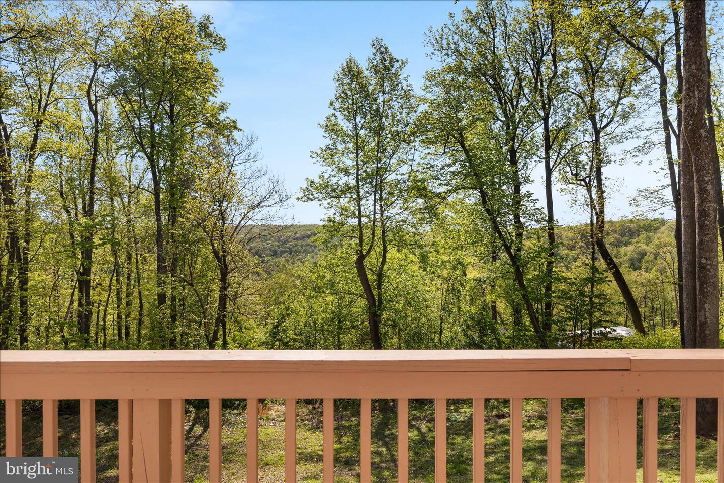2668 High Top Rd Property Photo 5