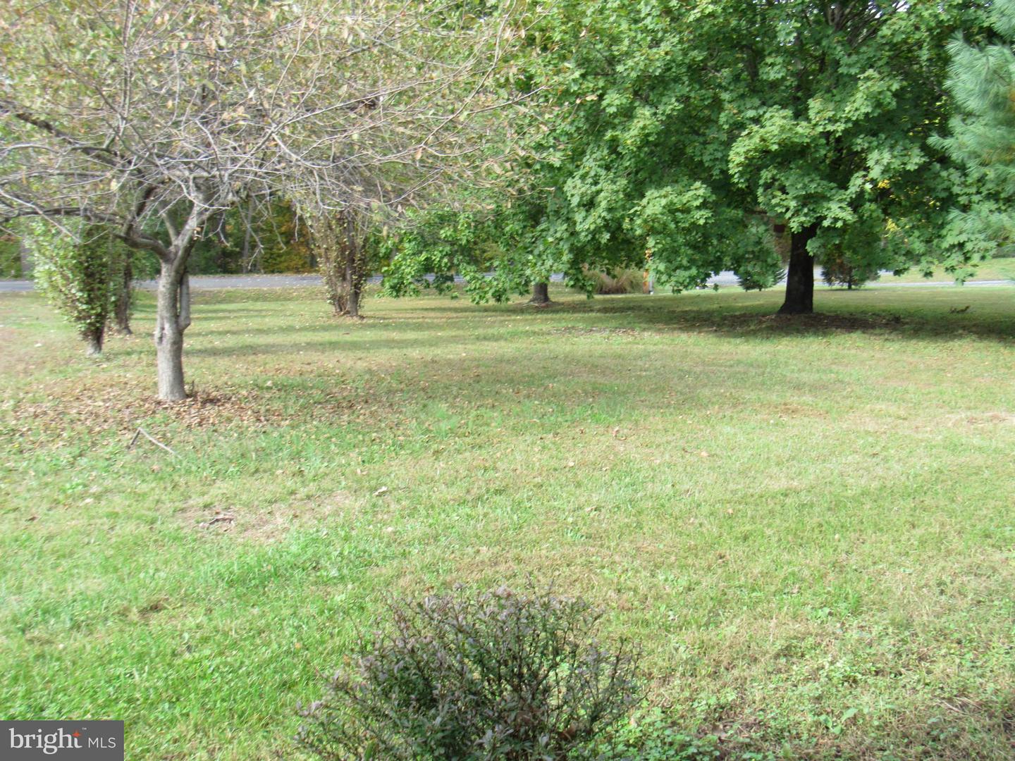 172 Rogers Mill Rd Property Photo 7