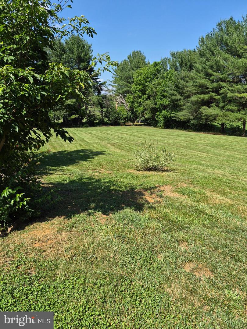 268 Bowling Green Rd Property Photo 39