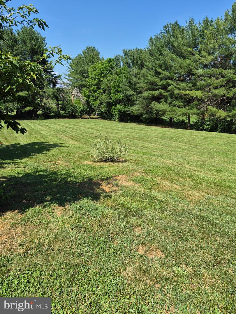268 Bowling Green Rd Property Photo 40