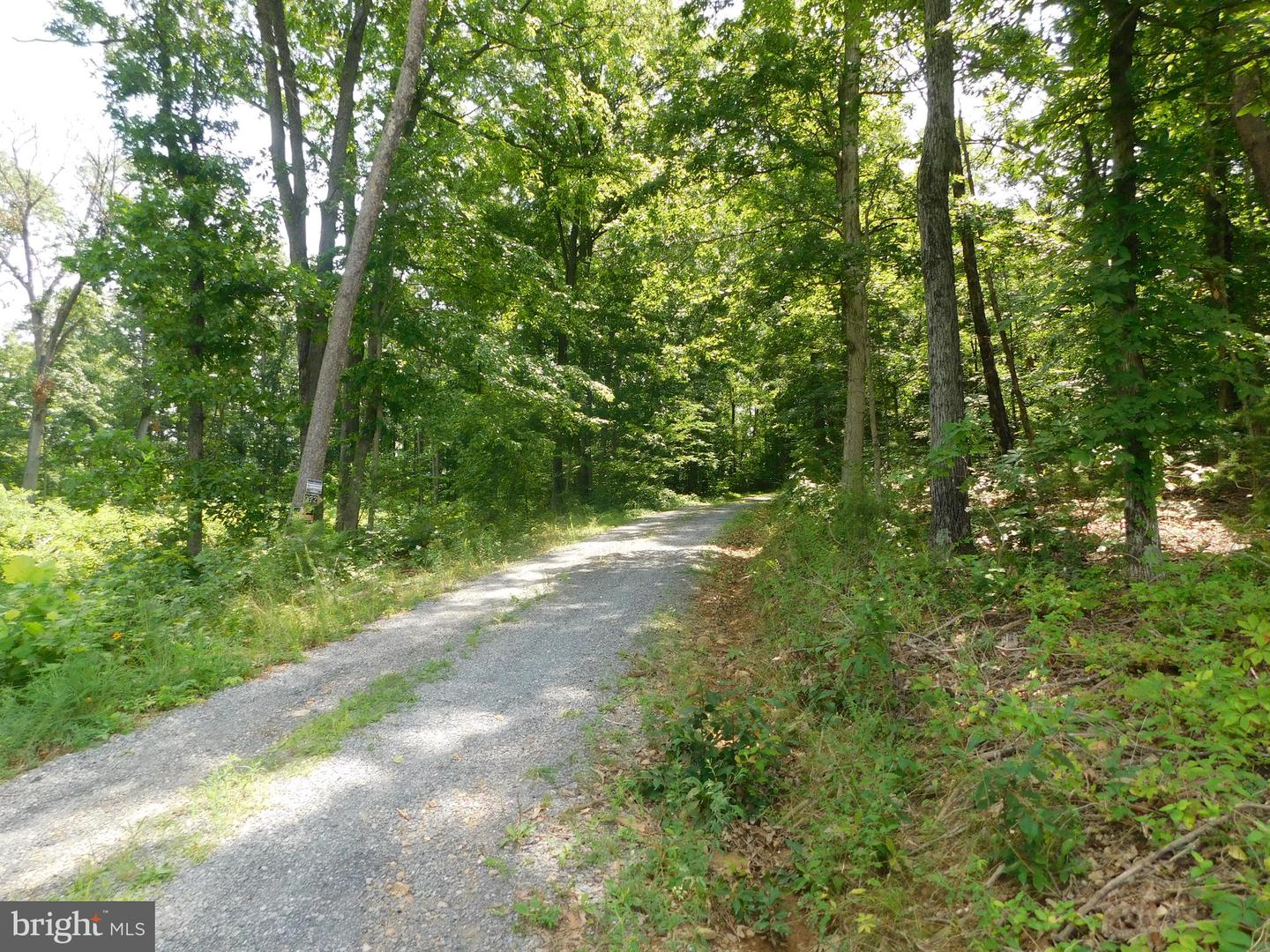 Lot 5a Larkin Ridge Rd Property Photo 3