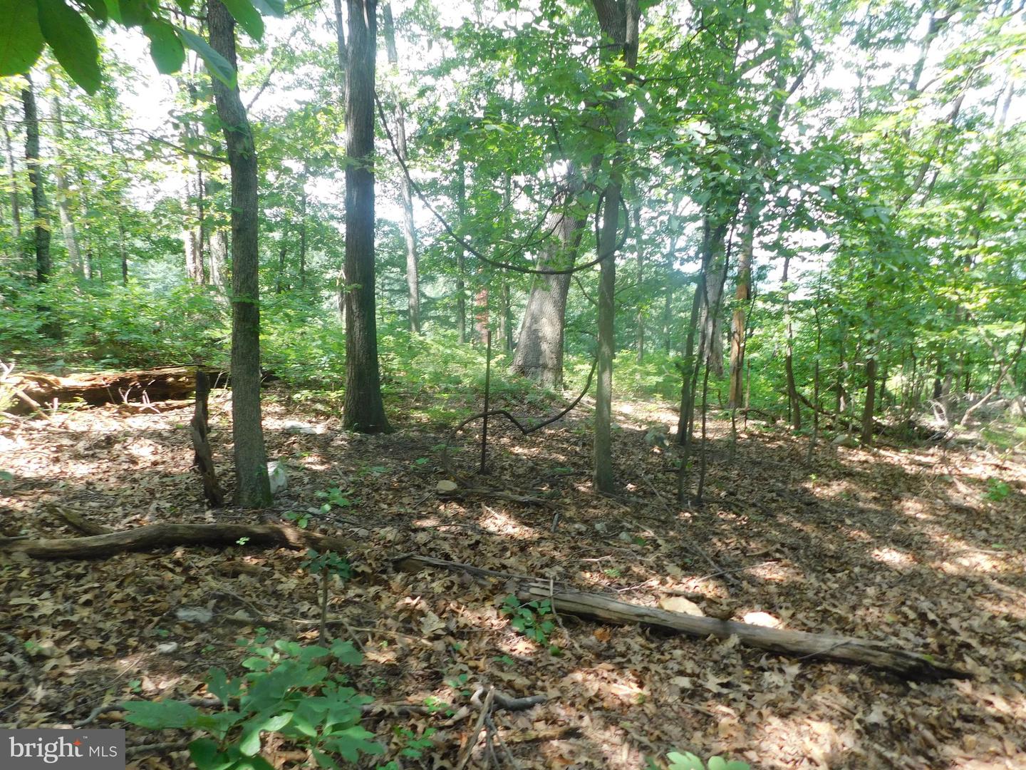 Lot 5a Larkin Ridge Rd Property Photo 6