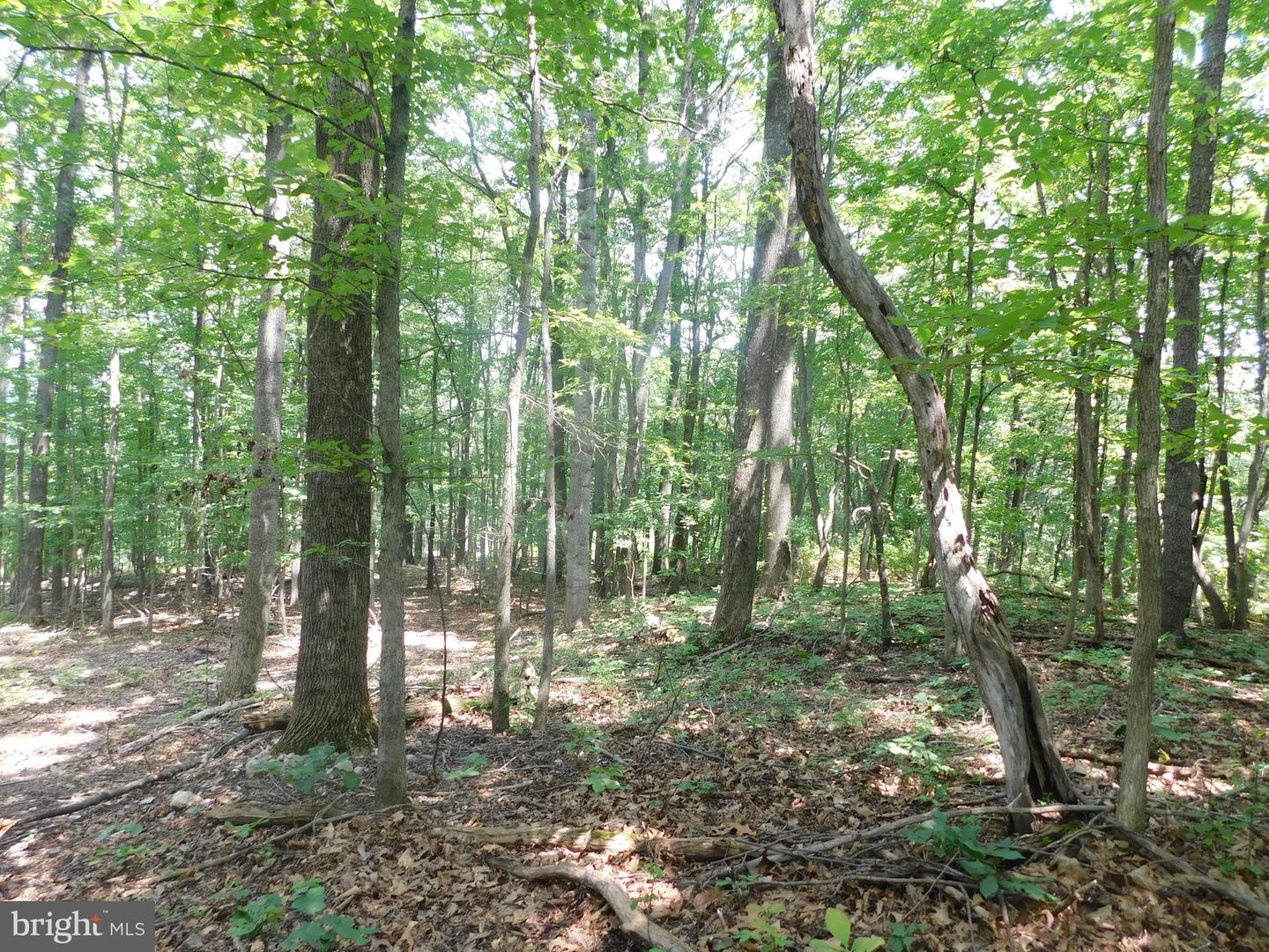 Lot 5a Larkin Ridge Rd Property Photo 7