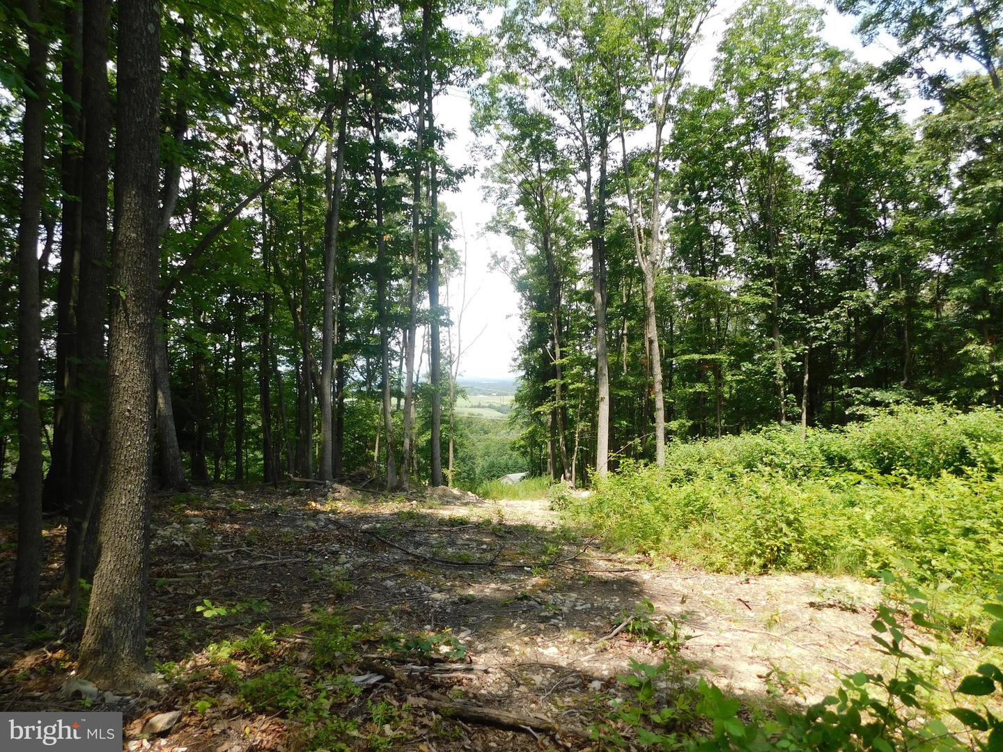 Lot 5a Larkin Ridge Rd Property Photo 8