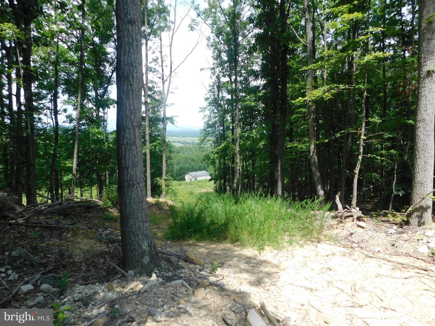 Lot 5a Larkin Ridge Rd Property Photo 9