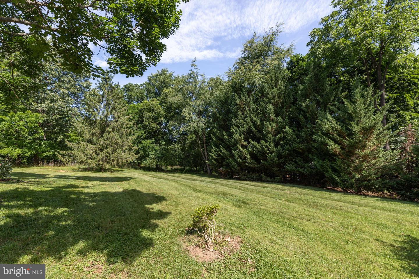 413 Grand Ave Property Photo 51