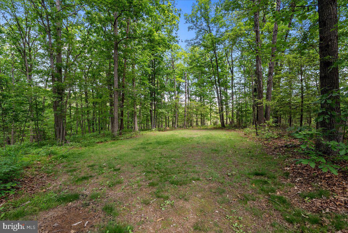 298 Mcdaniel Ln Property Photo 46