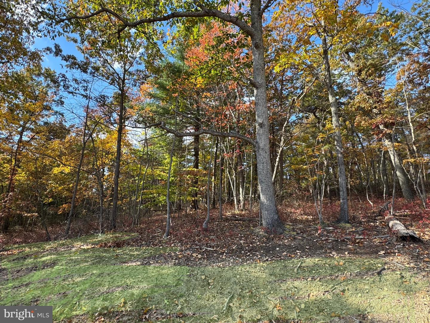 1730 High Top Rd Property Photo 35