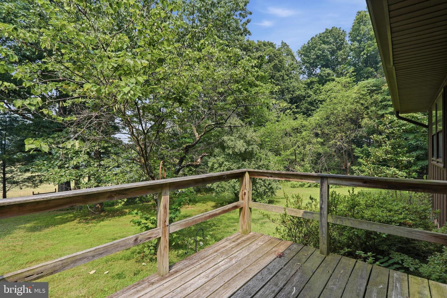2840 Gooney Manor Loop Property Photo 22