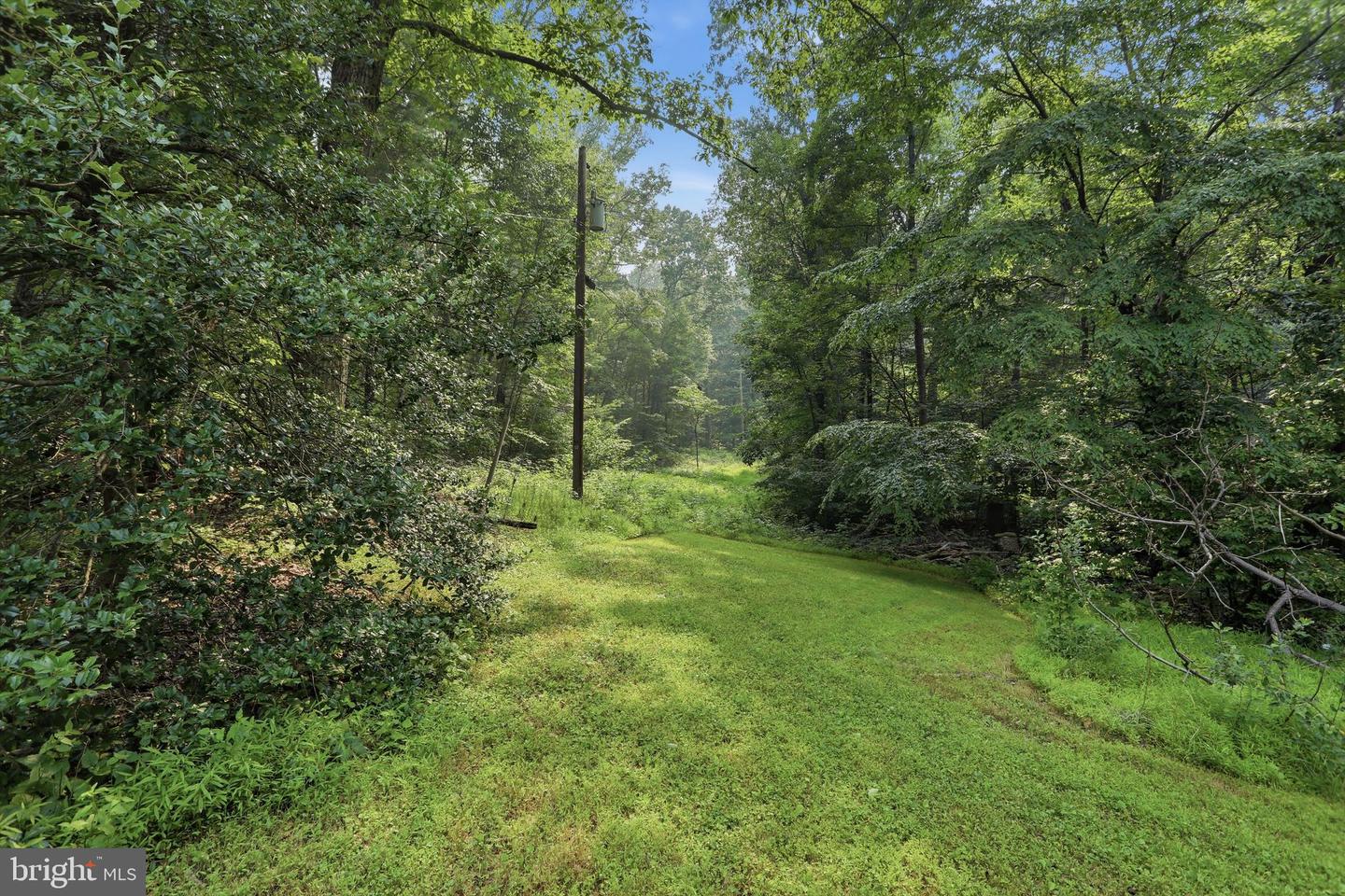 2840 Gooney Manor Loop Property Photo 34