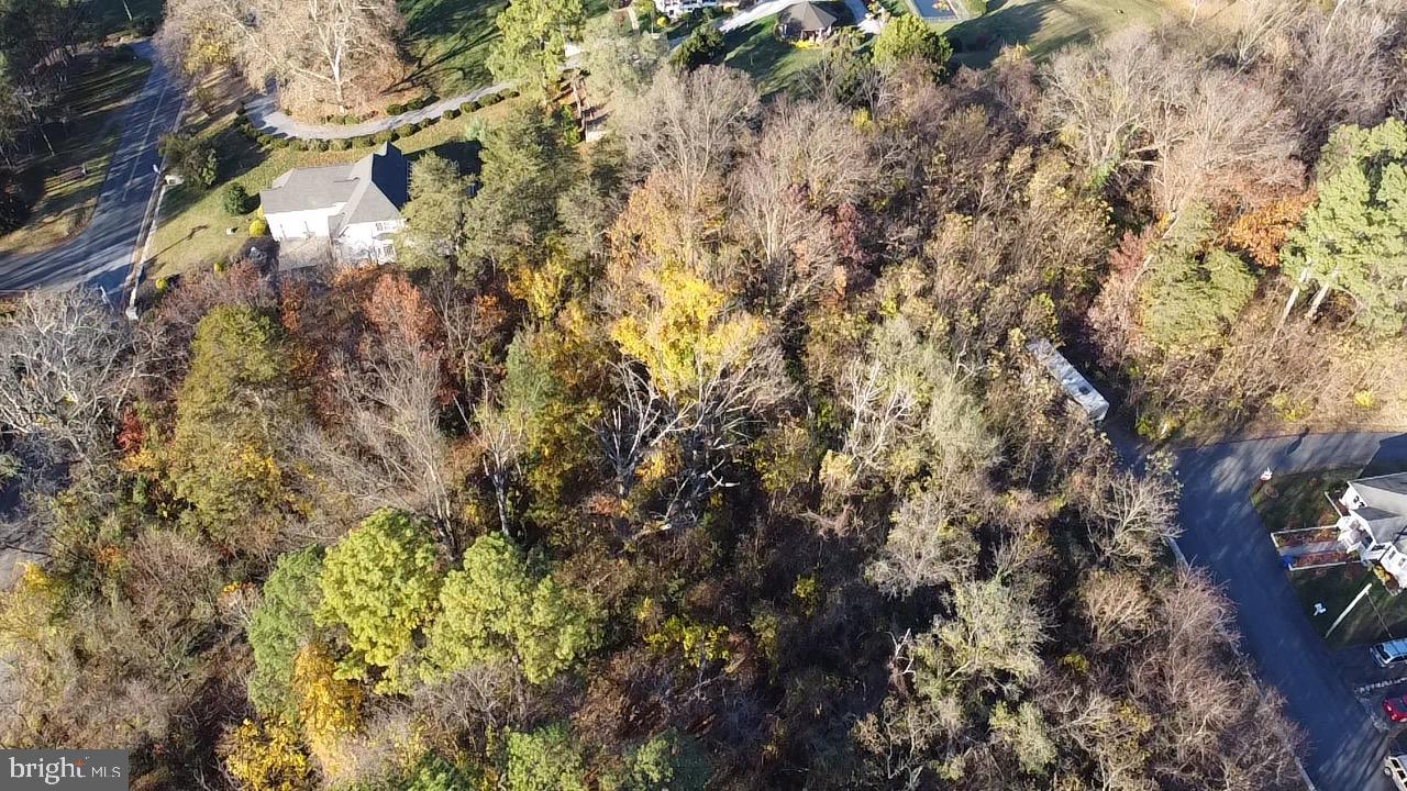 Warren Ave Property Photo 3