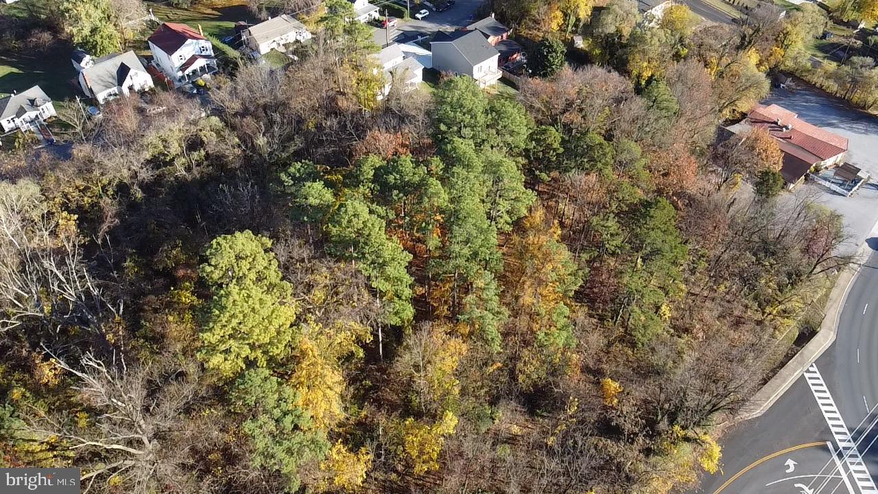 Warren Ave Property Photo 8