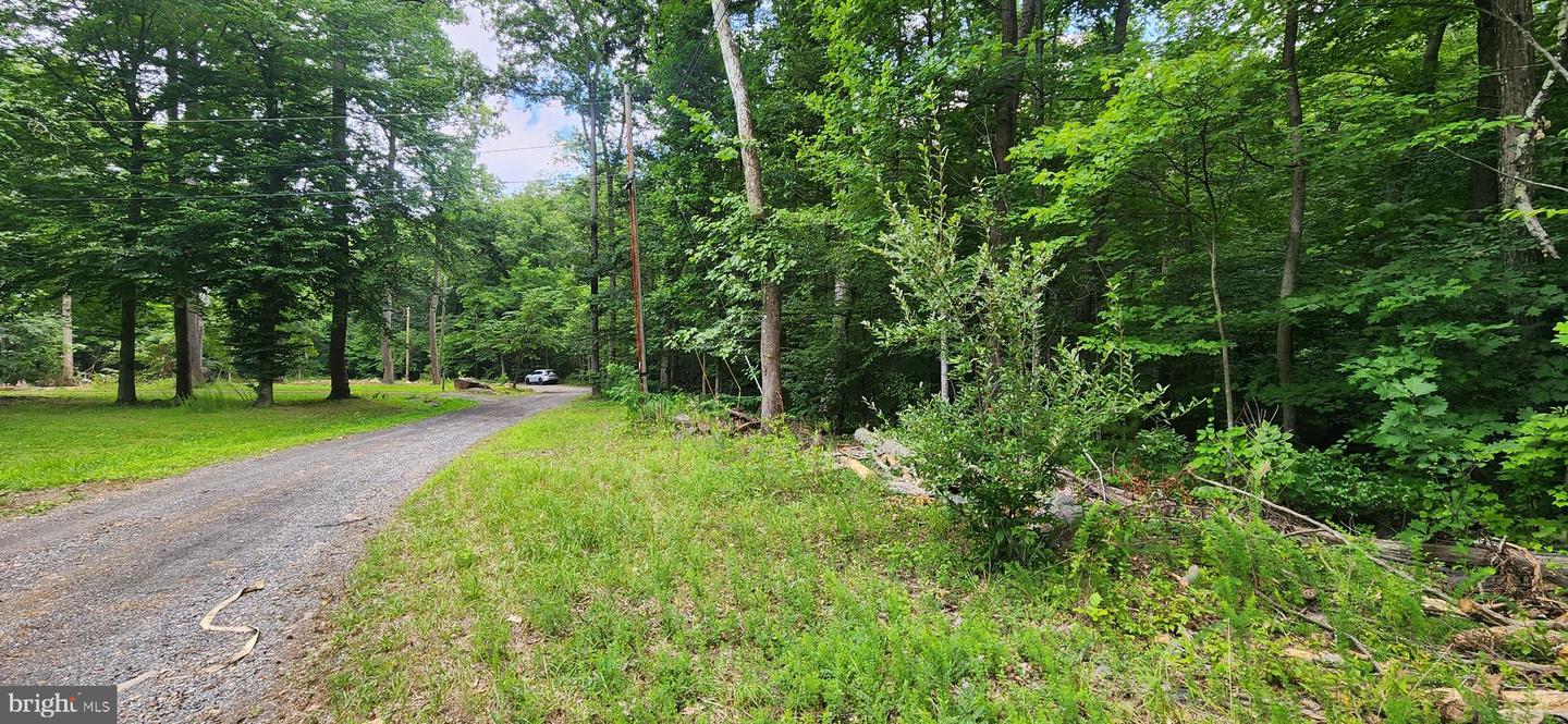 LOT 202 & 203 BOBBIE CT Property Photo 1