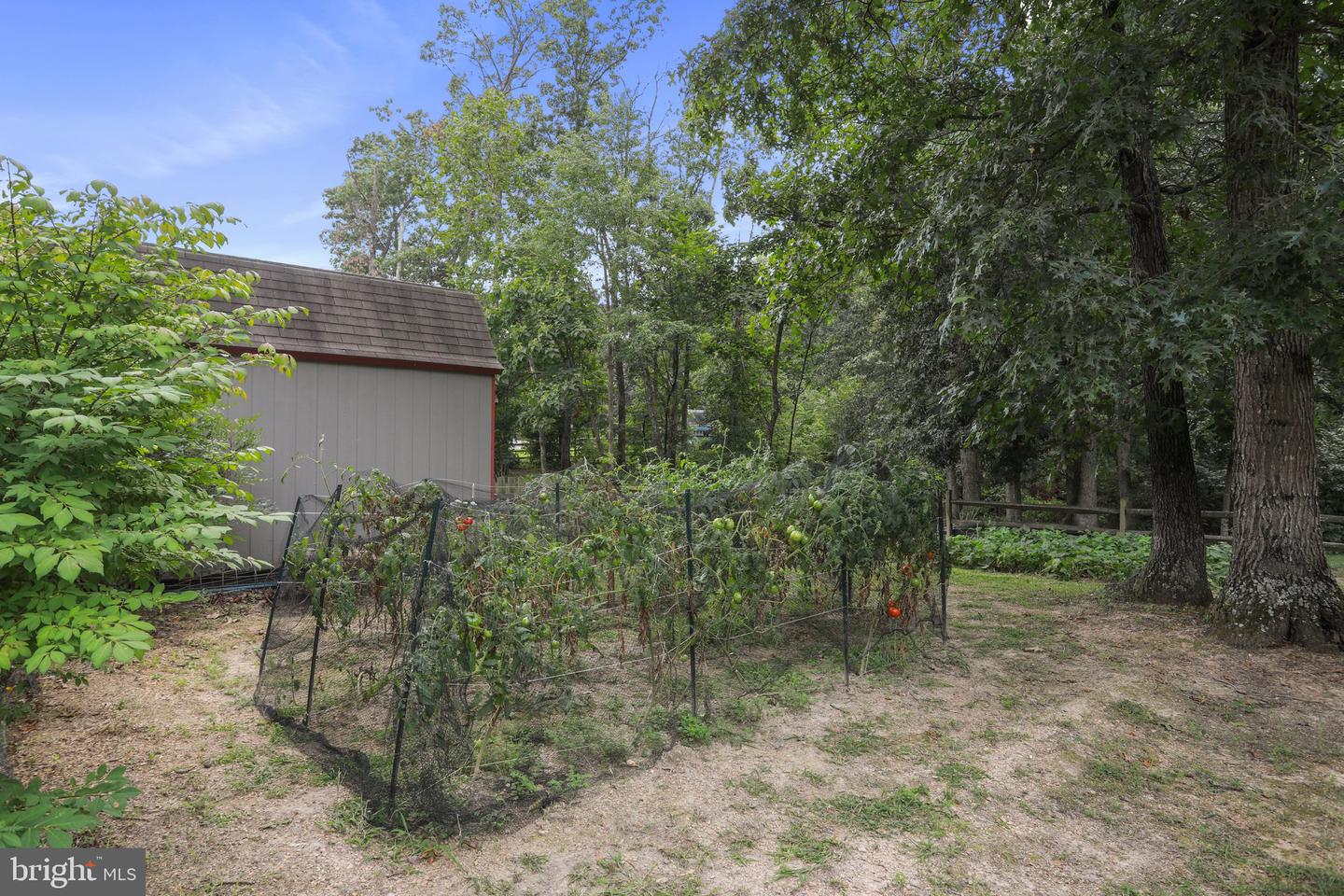 289 Reliance Woods Dr Property Photo 46