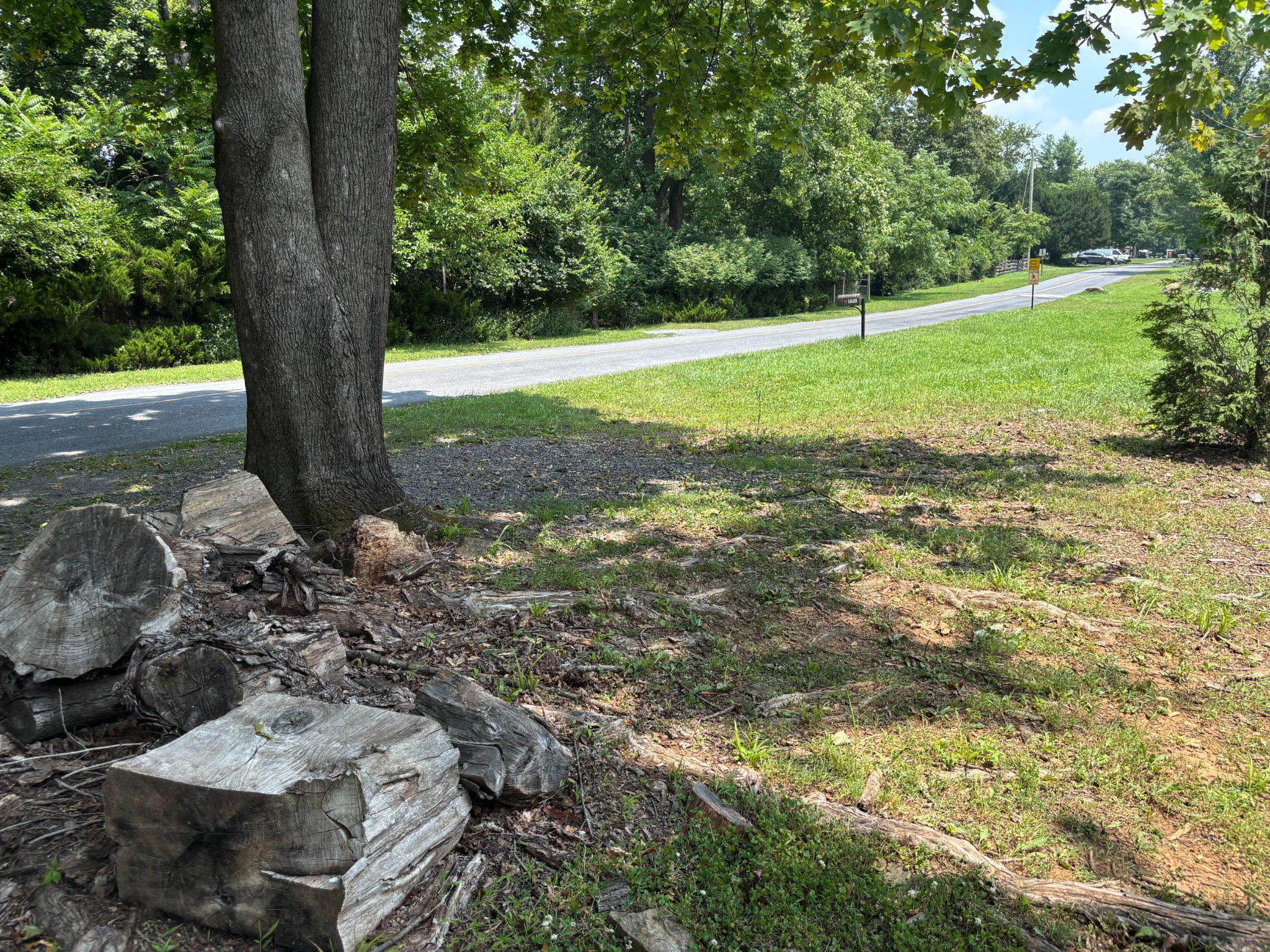 746 Bifrost Way Property Photo 17