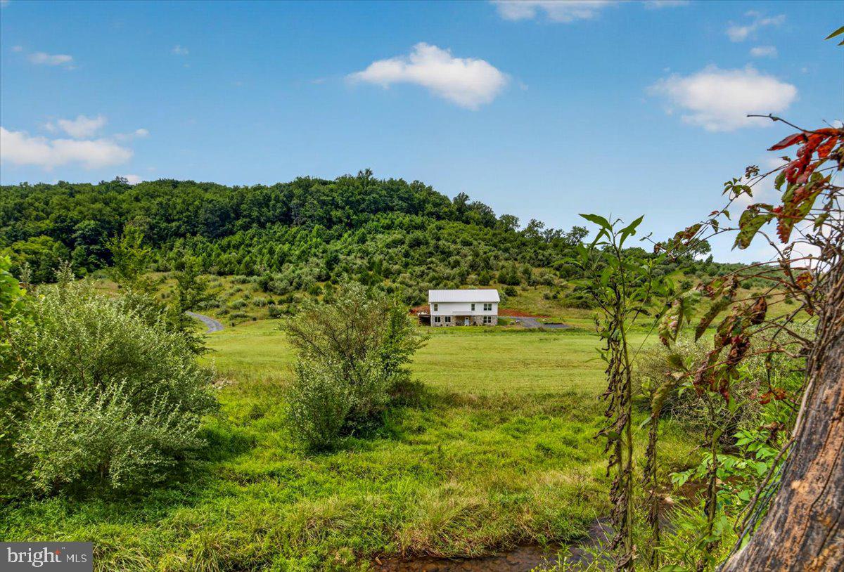 720 Gooney Manor Loop Property Photo 84