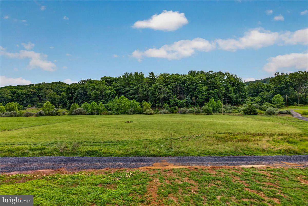 720 Gooney Manor Loop Property Photo 85