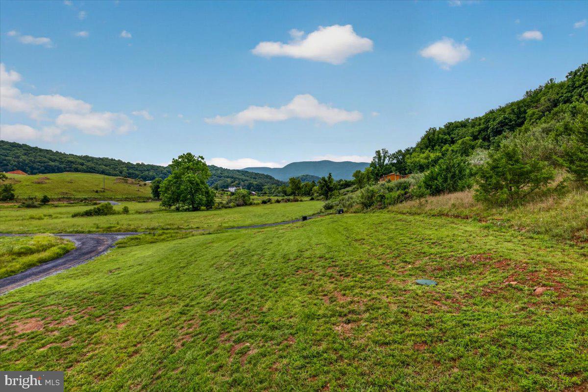 720 Gooney Manor Loop Property Photo 87