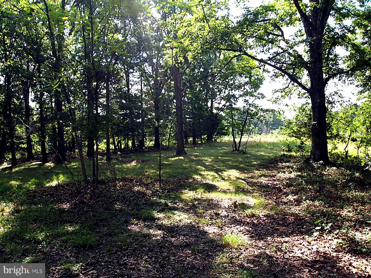 105 Ridgemont Rd Property Photo 1