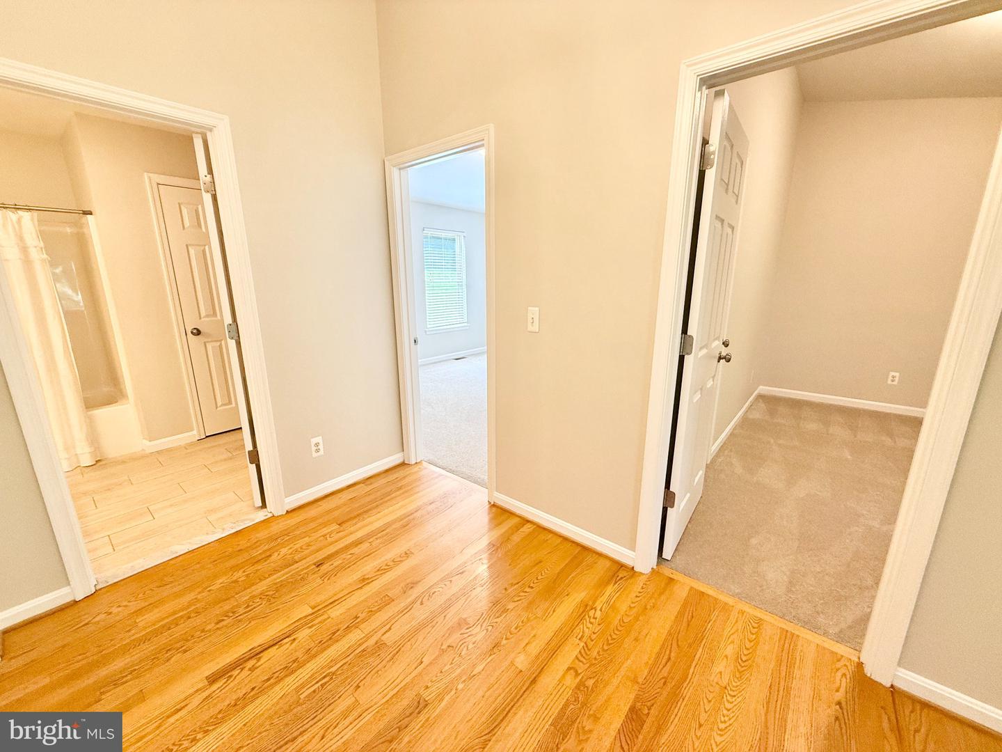 184 Apple Jack Cir Property Photo 44