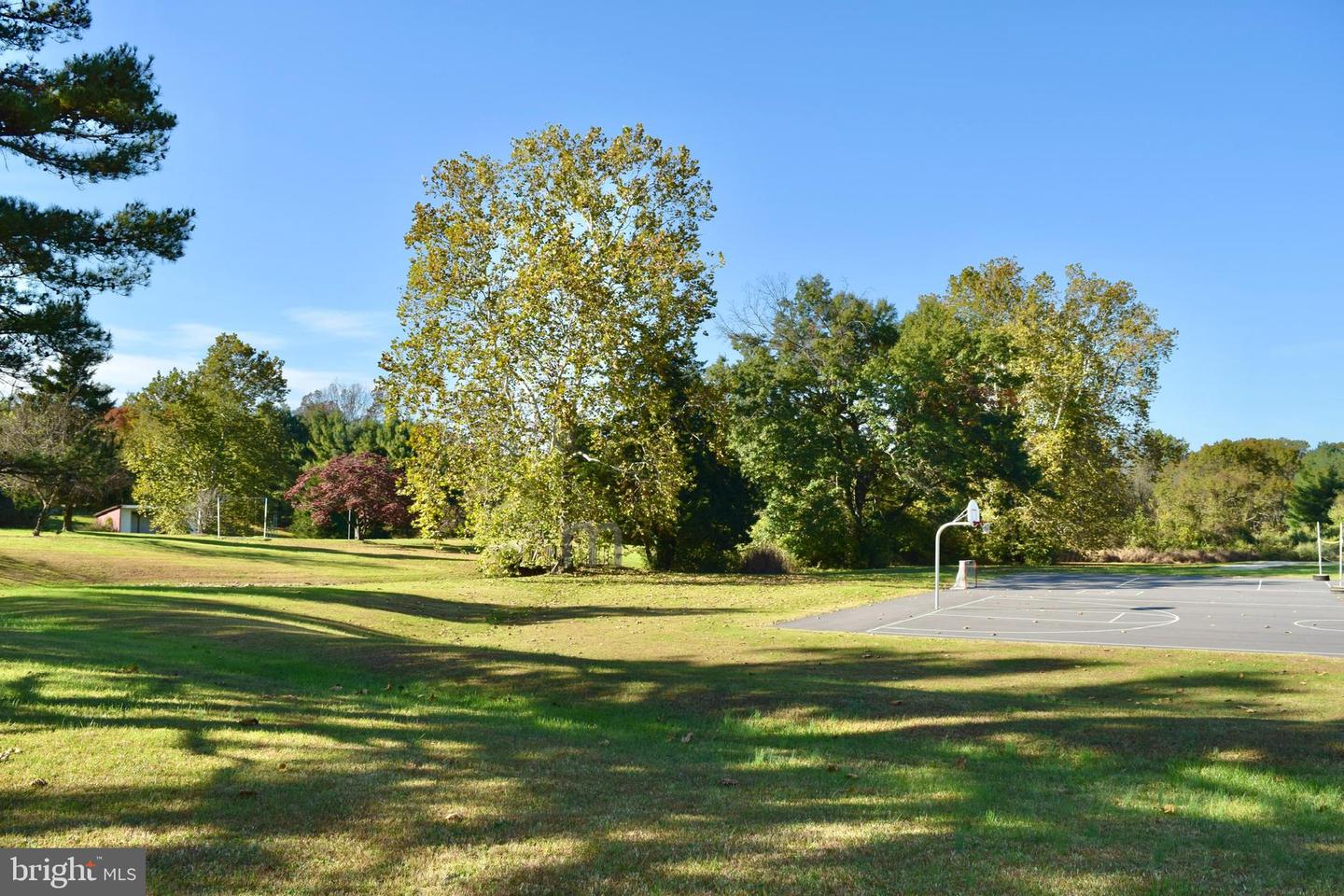 1117 Western Ln Property Photo 48